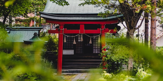 kentaro-toma-l1aLJ-jqGX8-unsplash.jpg
