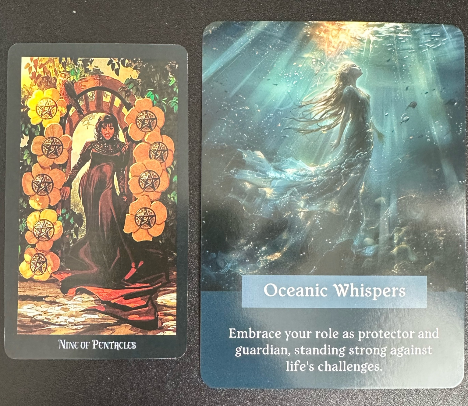 converted_image_2 (1).png