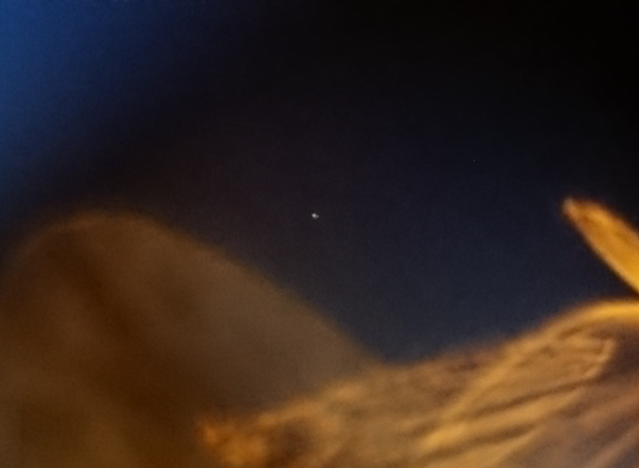 DSC_9005~3.JPG