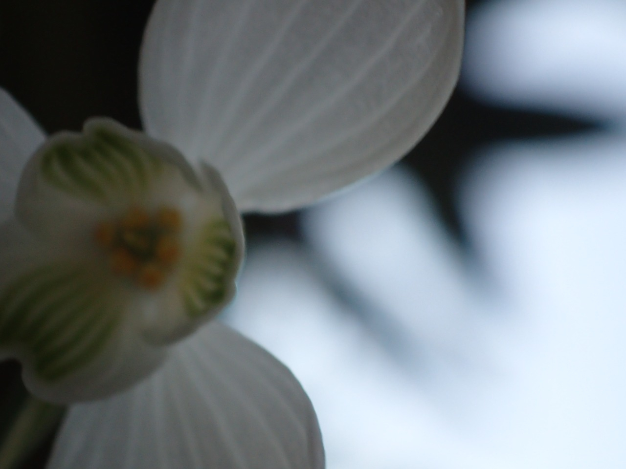 PB160271.JPG