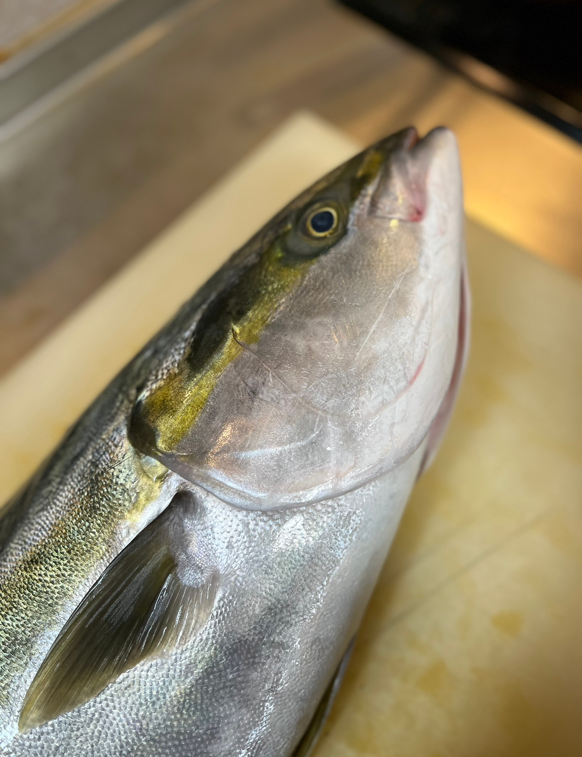 最新の写真を表示 5.png