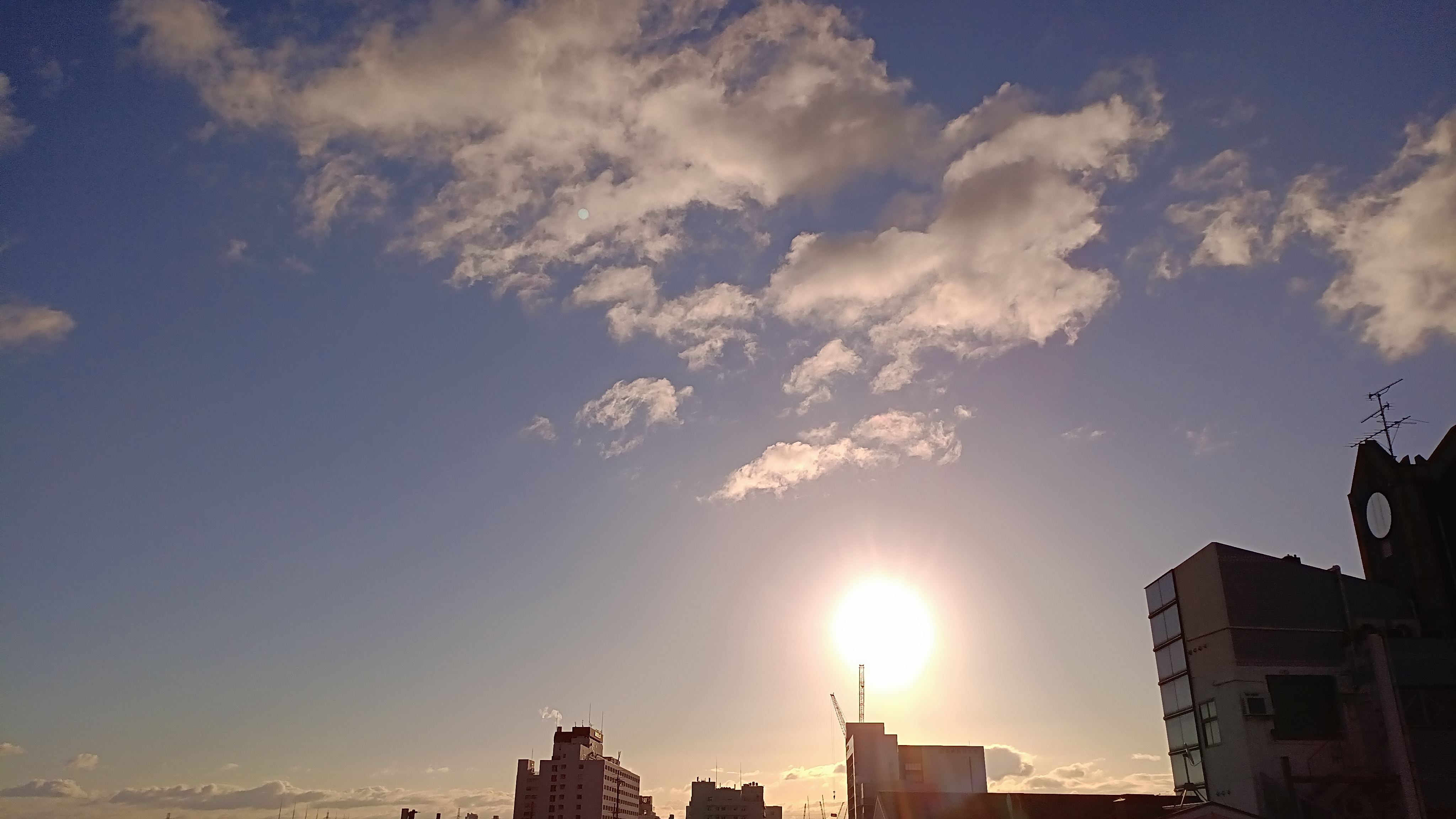 IMG_20250219_073600_610.jpg