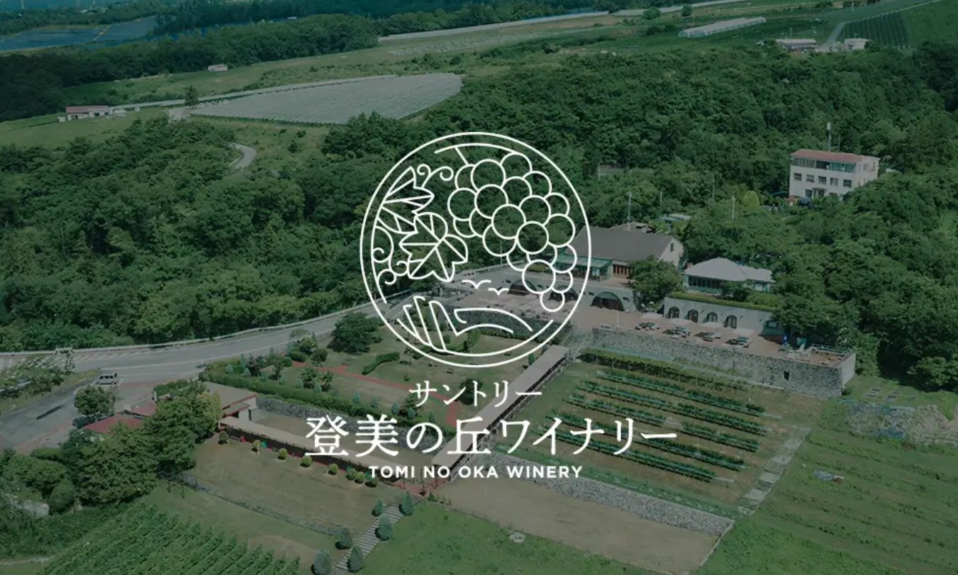 top-webp-1200×630- (1).png