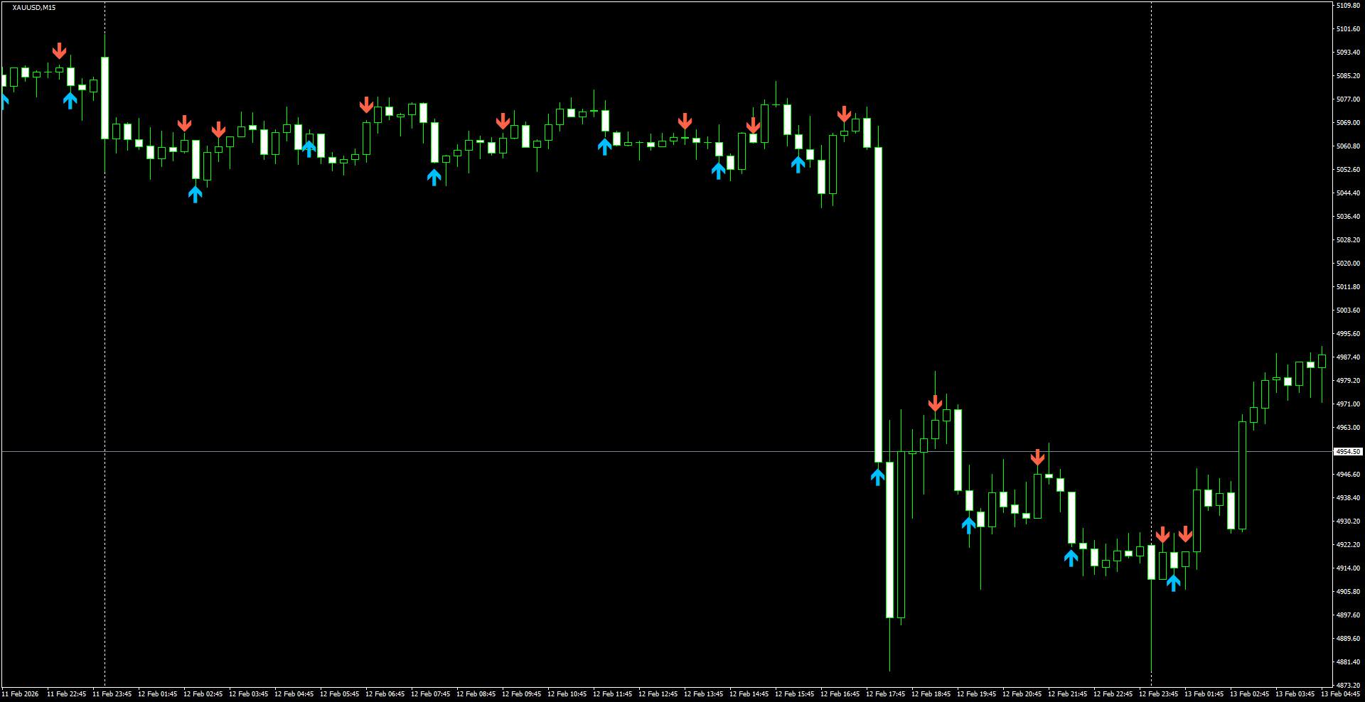 XAUUSD(M15)_2026.02.13_210110.png