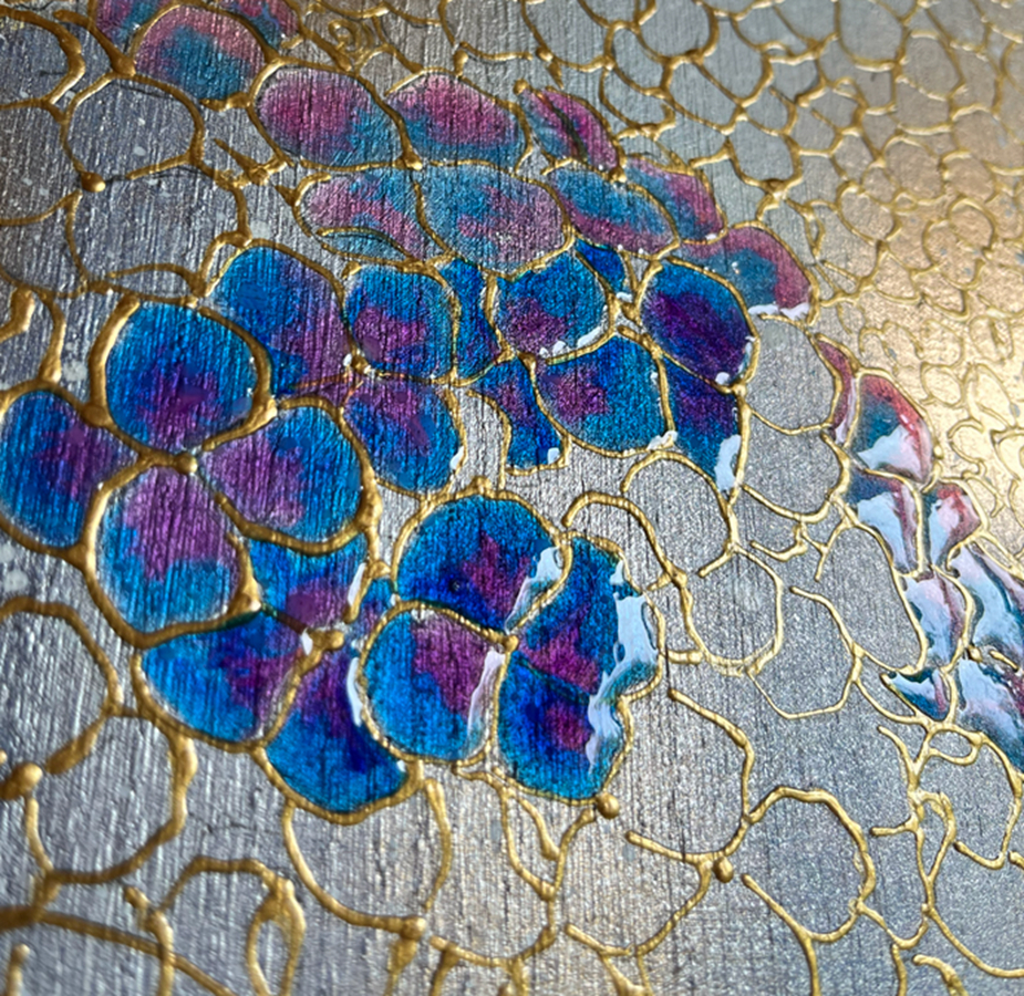 紫陽花wip.png