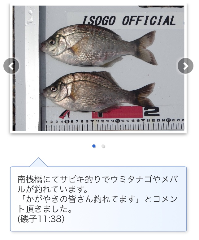 スクリーンショット 2022-06-23 14.06.37.jpg