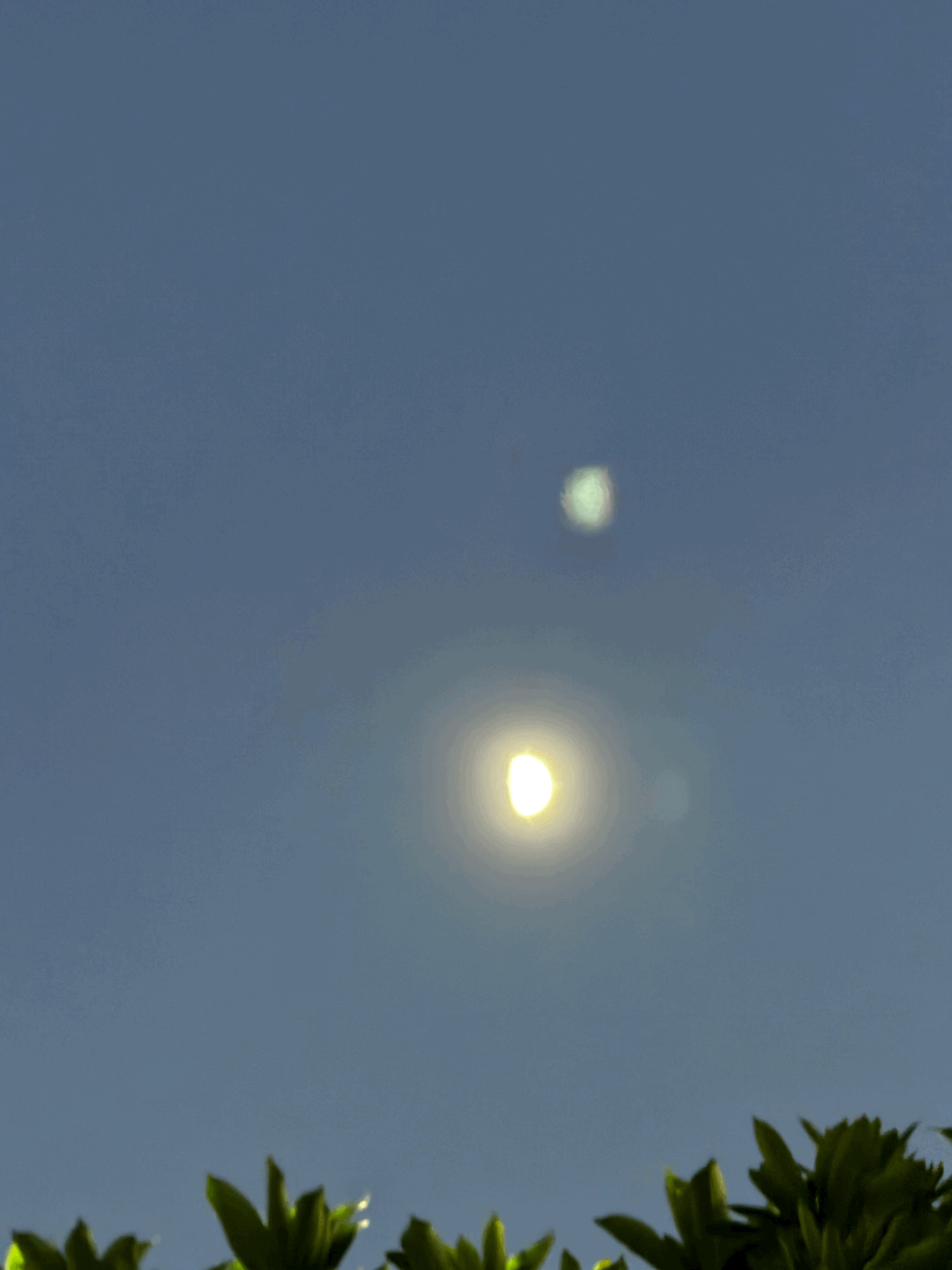 tempImagepob4Vg.gif