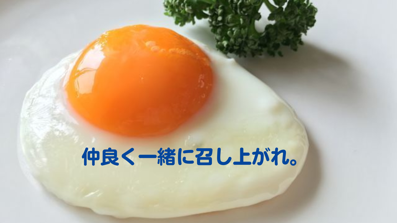 【鑑定前に】　 高次元からお預かりした言霊を、あなたに。３②.png