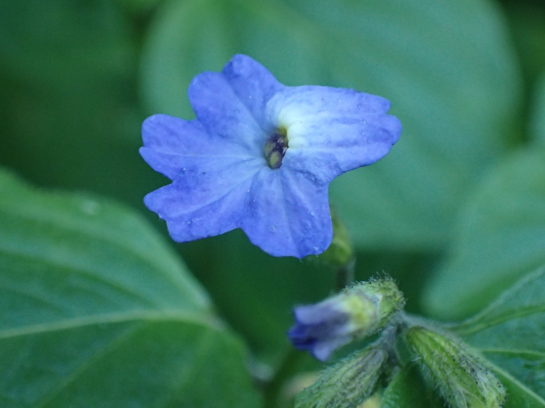 PA101412.JPG