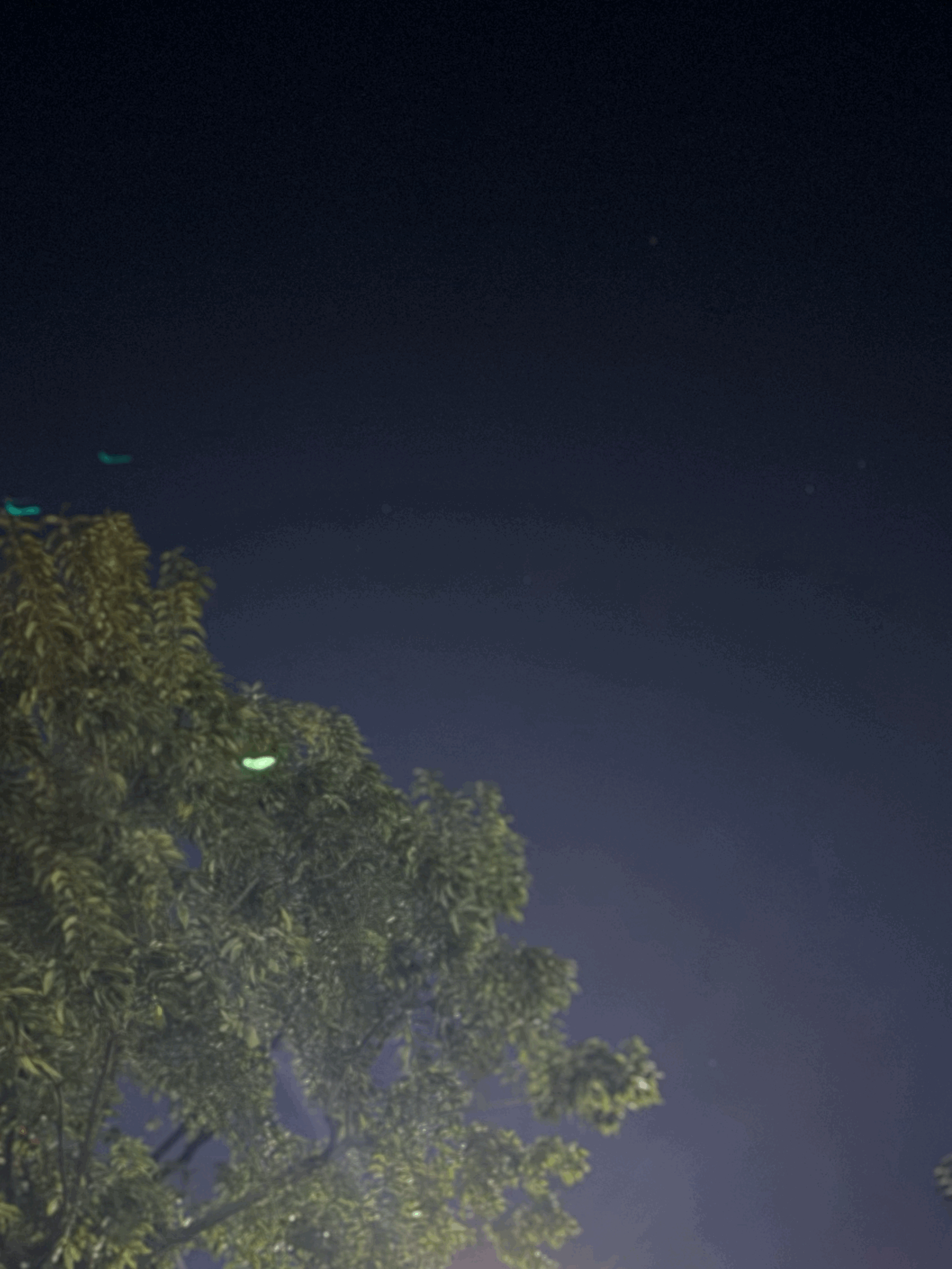 tempImageF1PAPS.gif