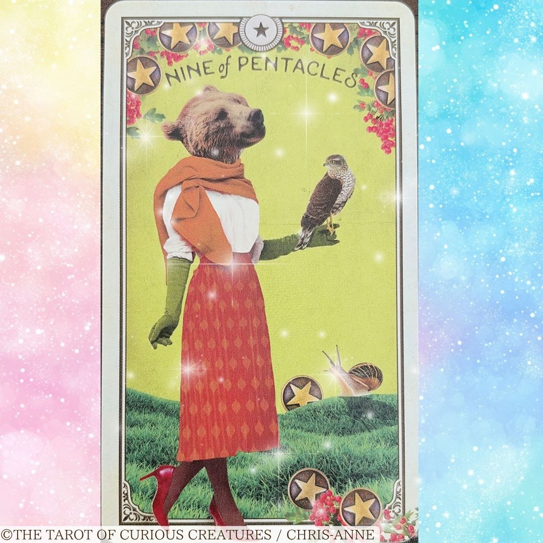 ペンタクル９＋くま.jpg