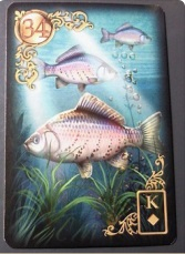 fish.jpg