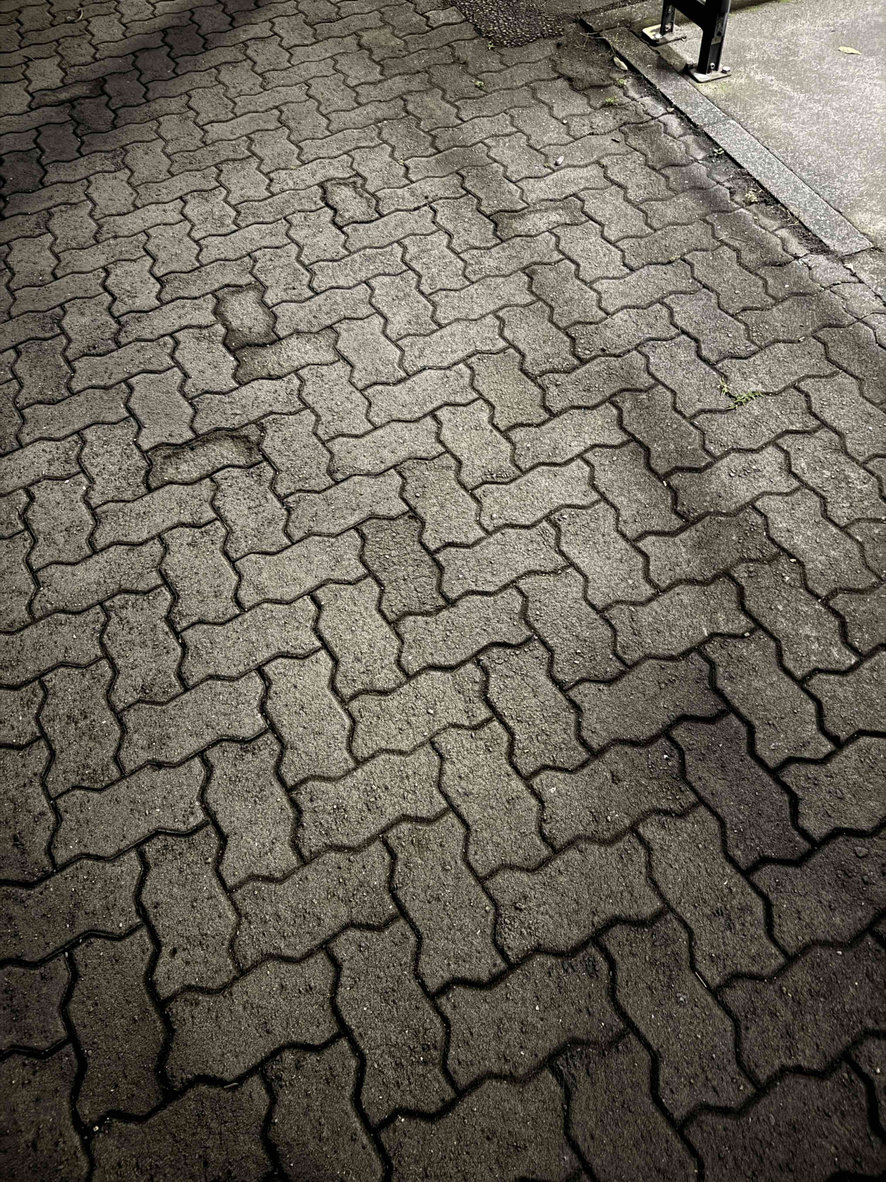 tempImage1OZtLQ.gif
