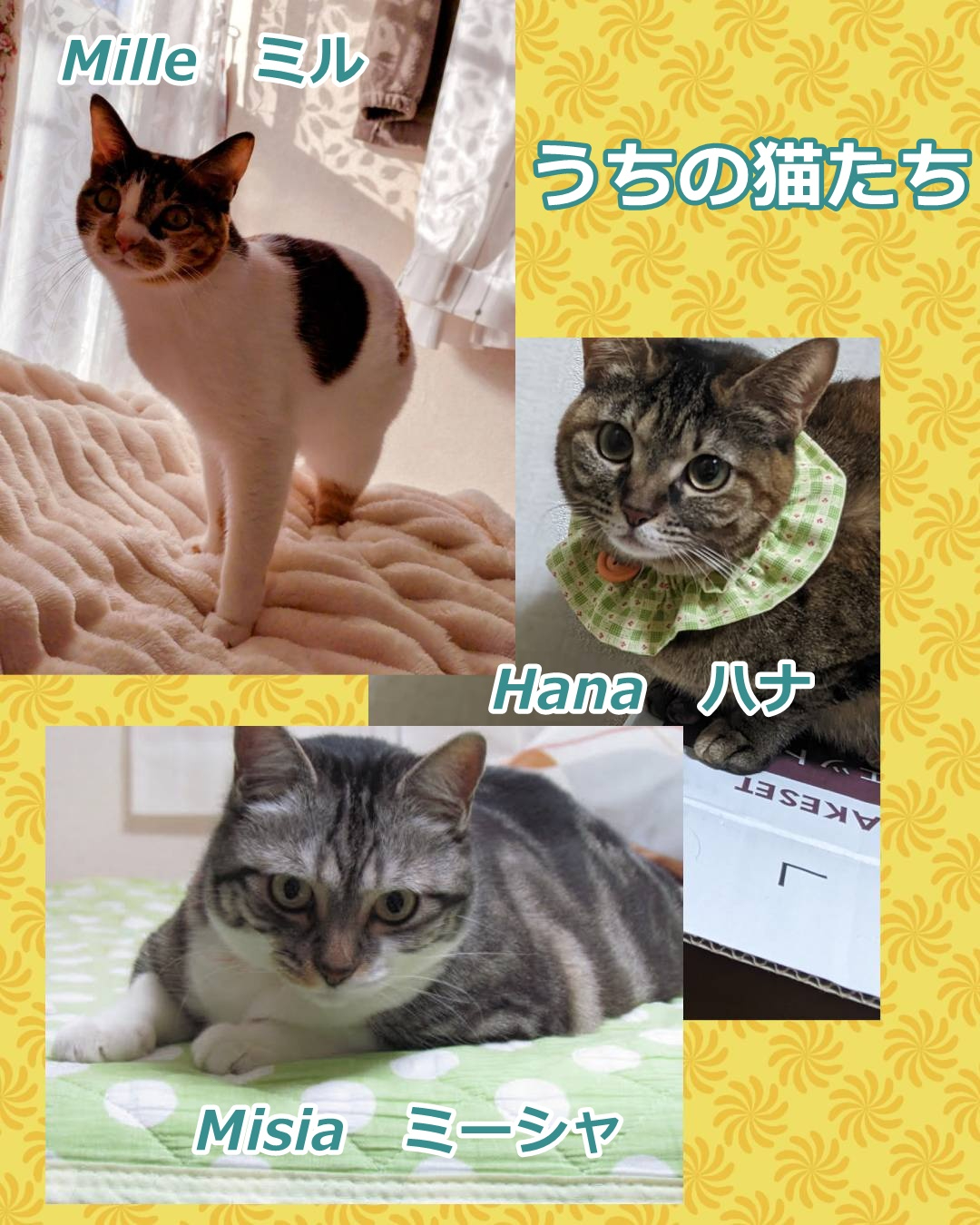新規プロジェクト.jpg