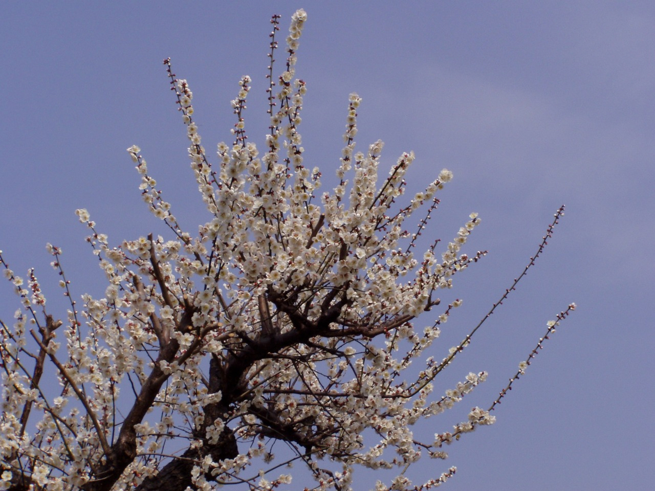 P1010001.JPG