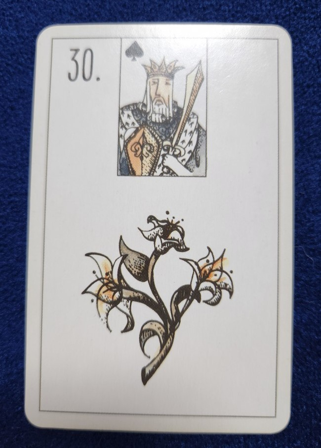 20230816_083720 (002).jpg