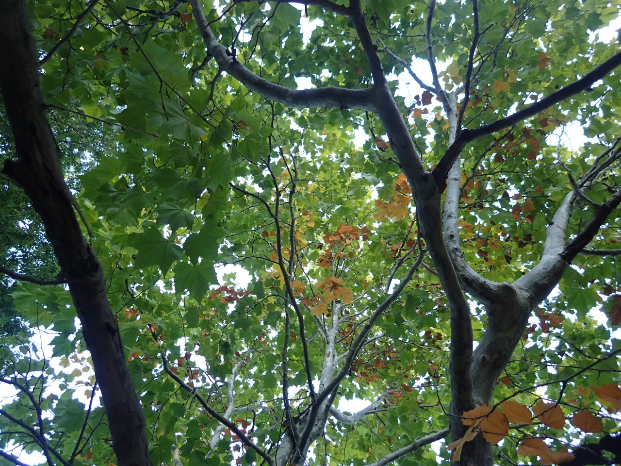 PA221047.JPG