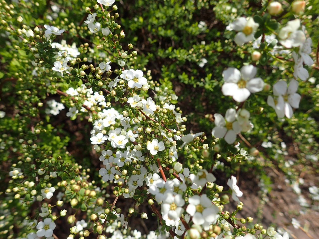 P3170470.JPG