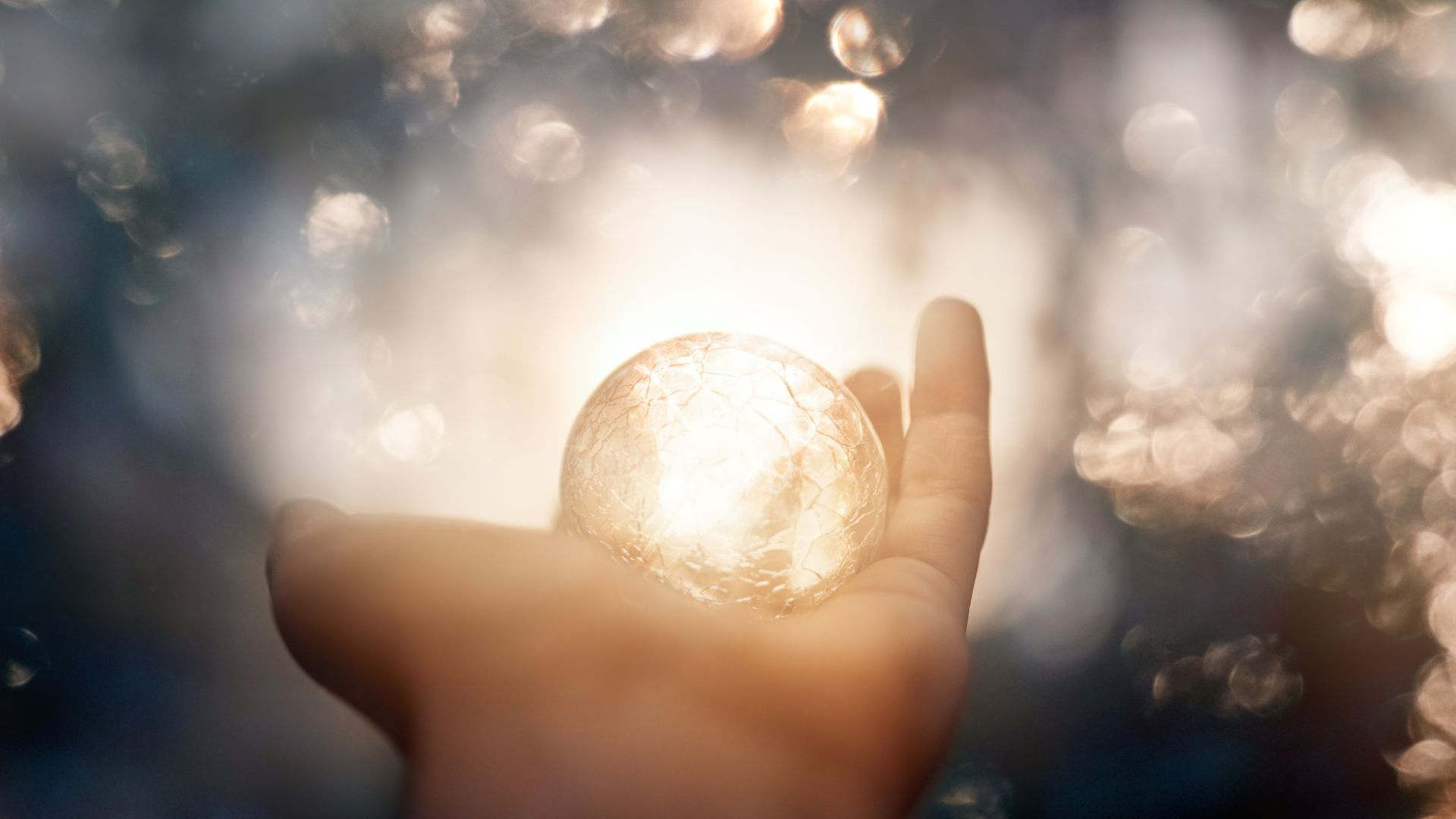 黄色と白 写真 マーケティング企画書 プレゼンテーション (1).jpg