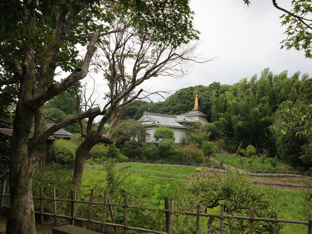 本土寺008.JPG