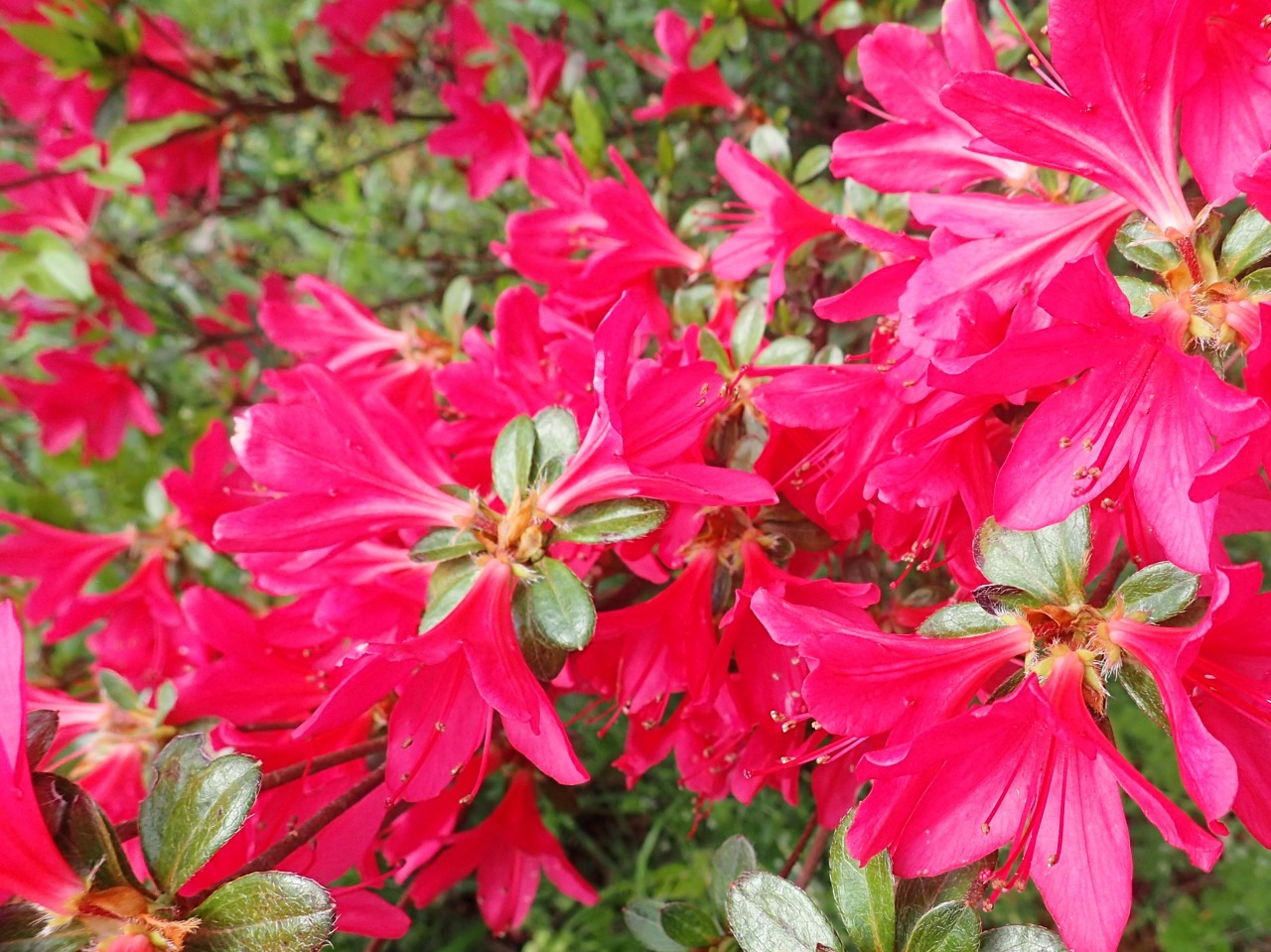 P4160238.JPG