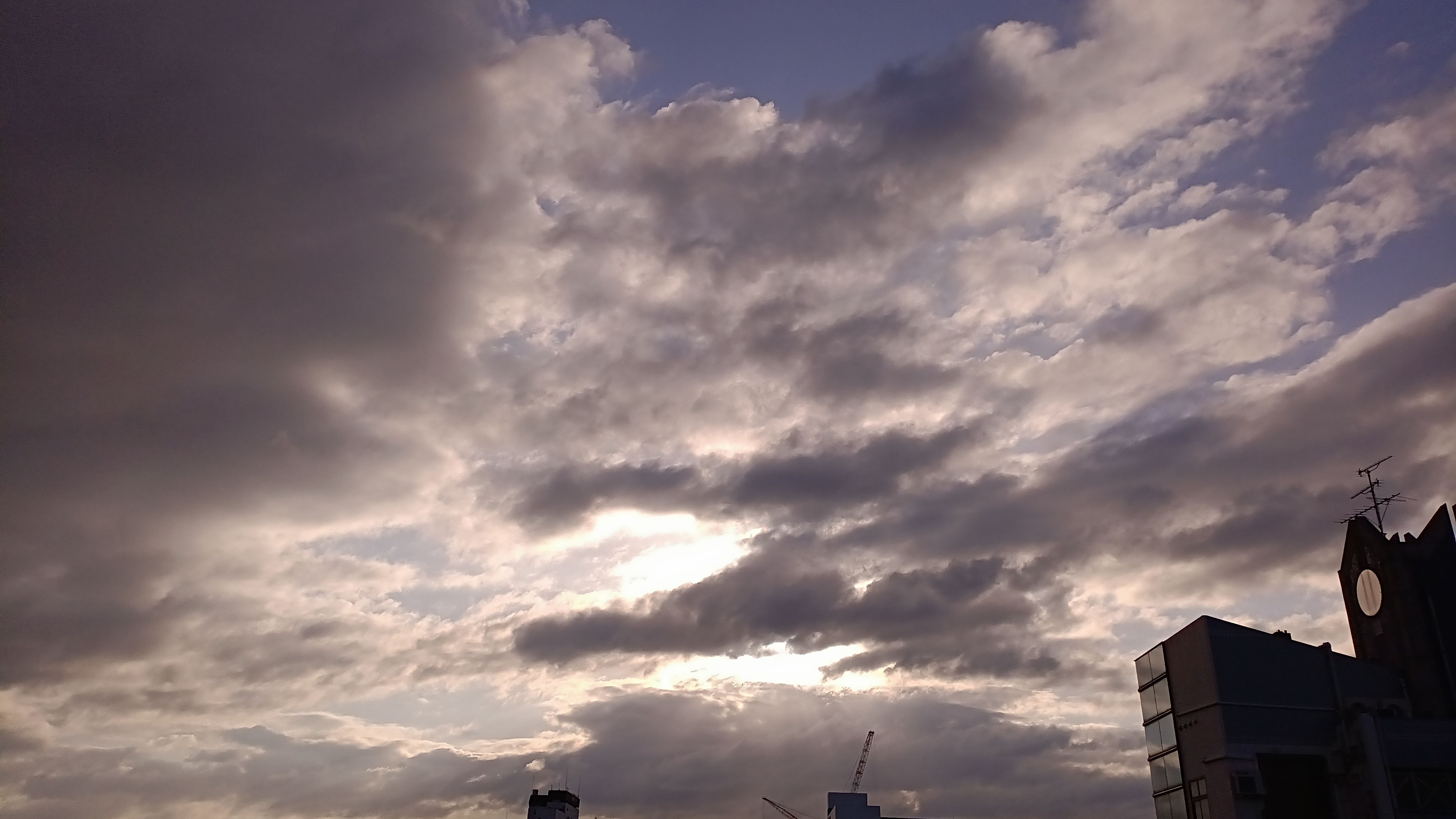IMG_20250307_073444_841.jpg