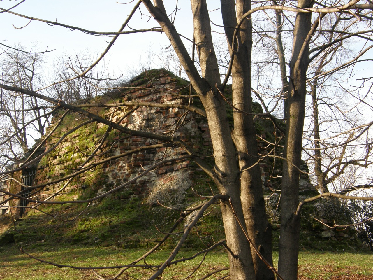 P2170397.JPG