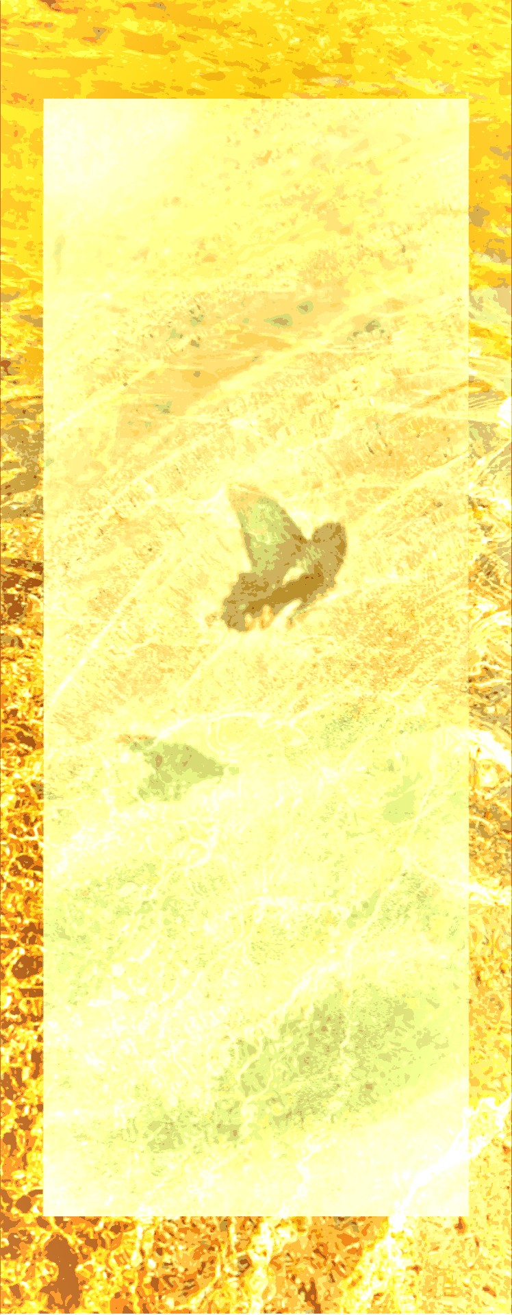 _20260604_132743.JPG
