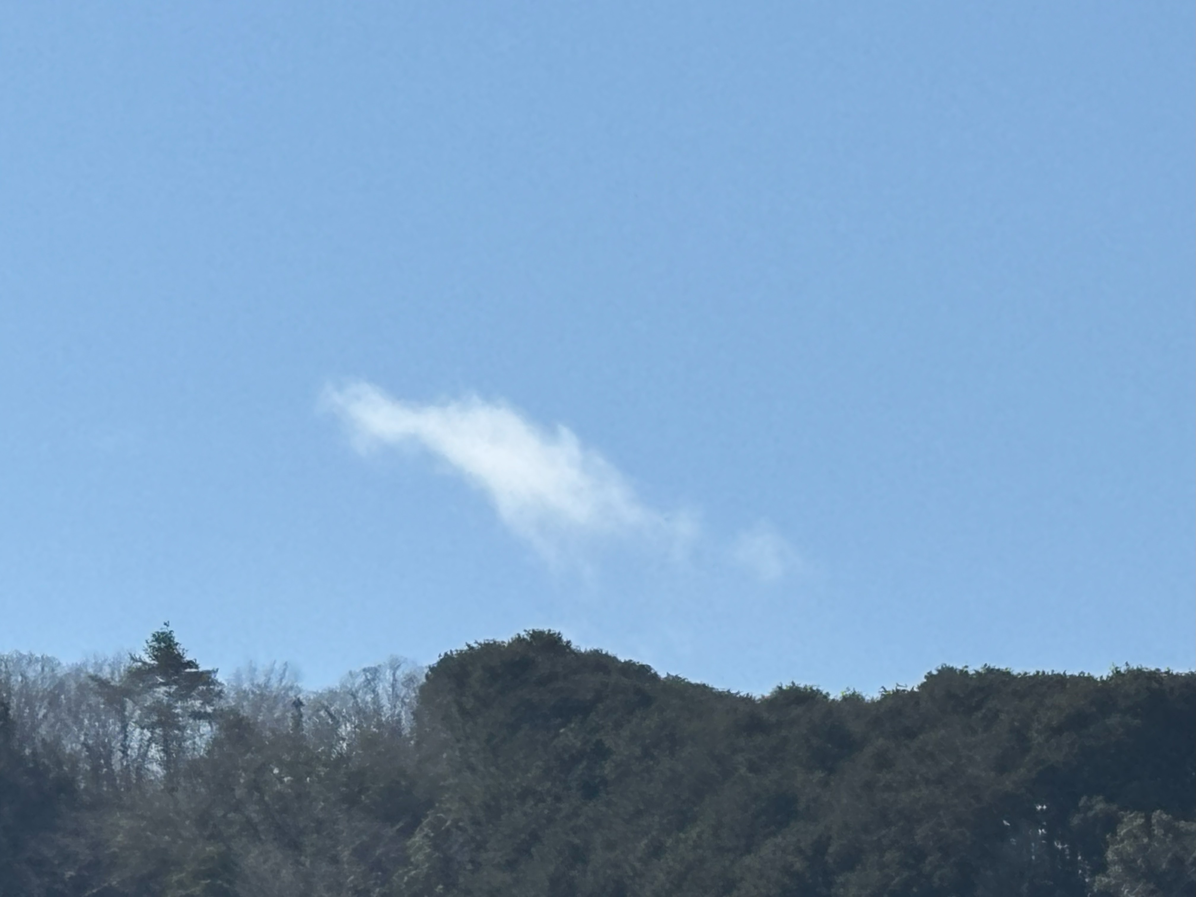 IMG_4880.jpeg