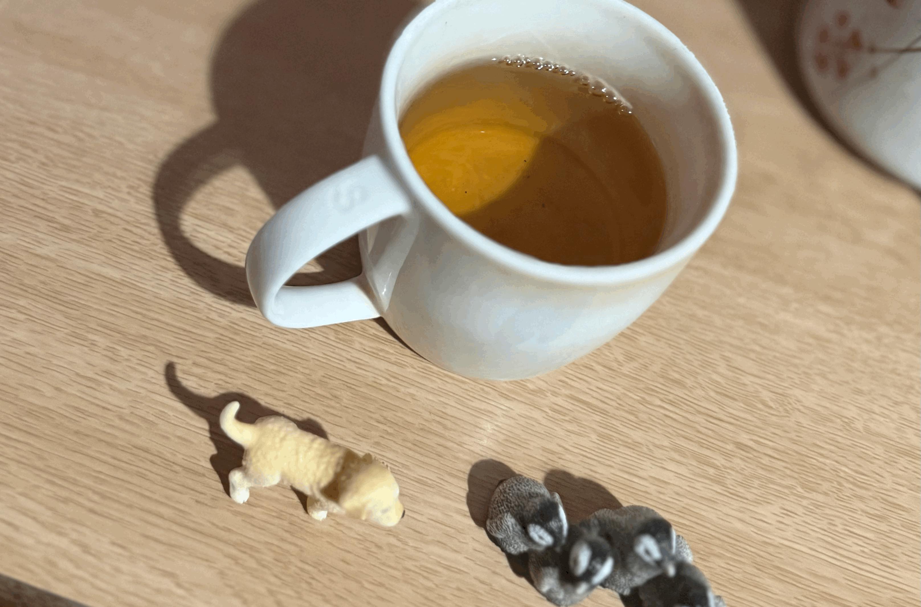 tempImageUlvyQh.gif