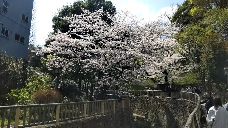 o1080060715563100121.jpg