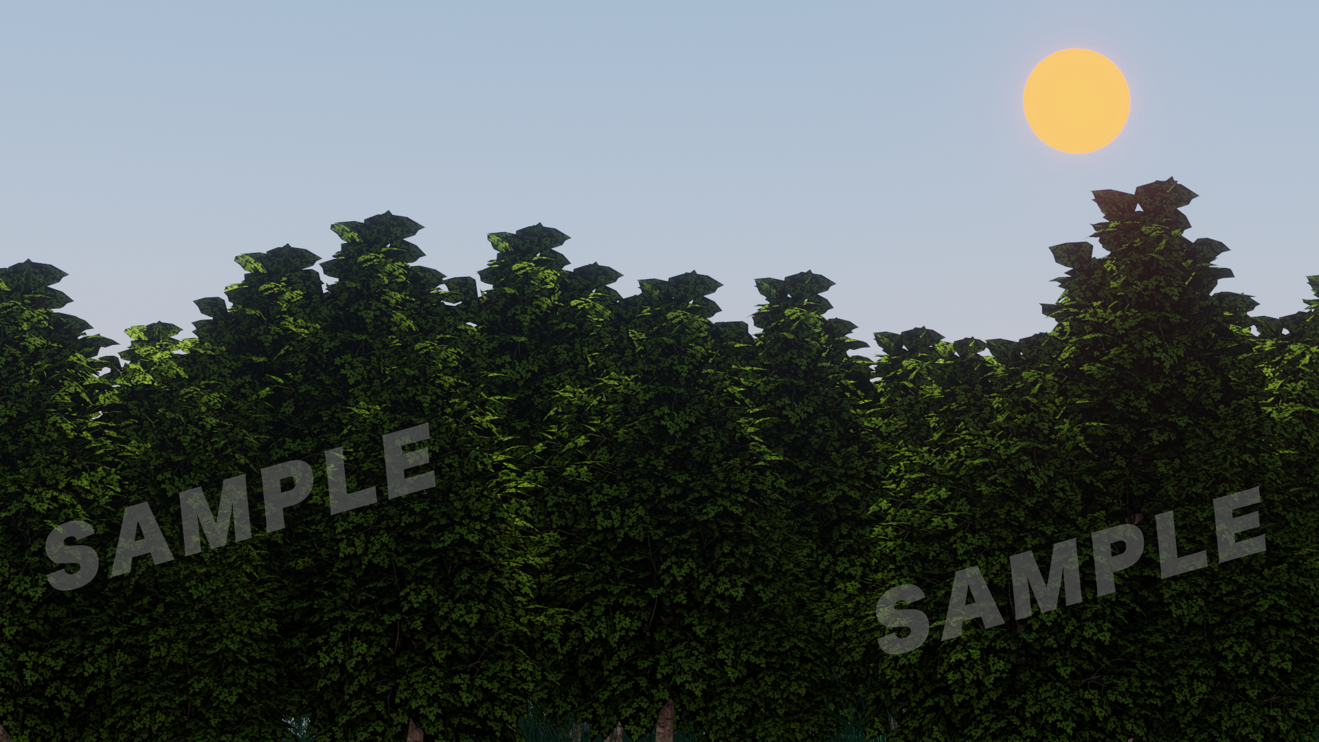 sasasw.png