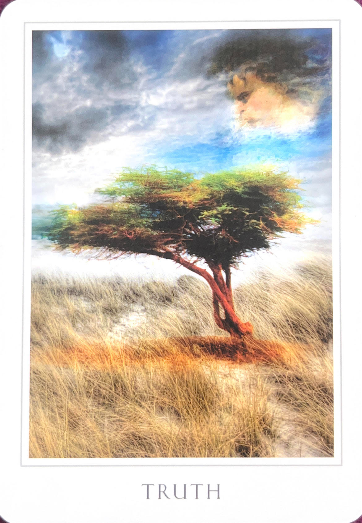 TRUTH.jpg