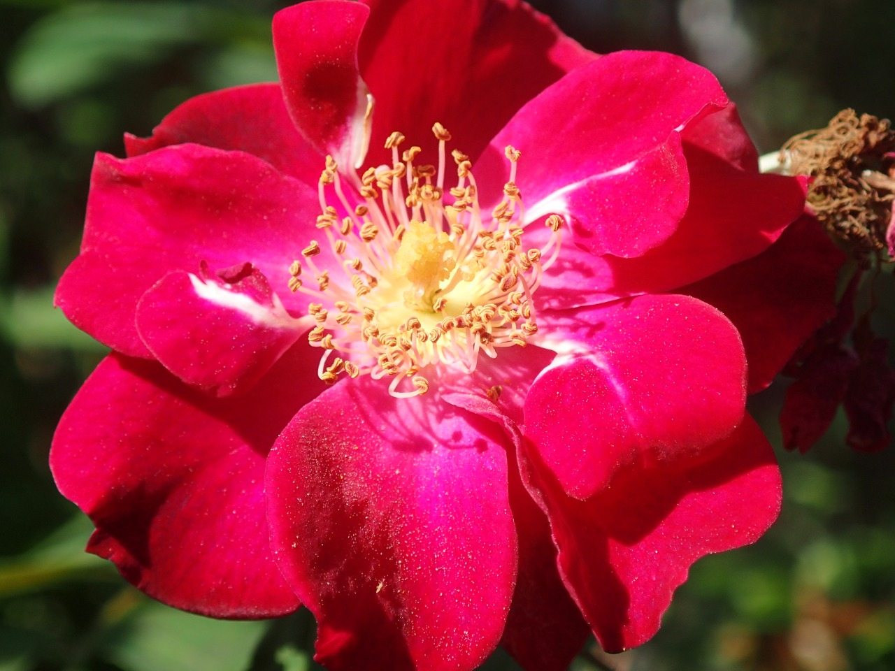 PA120990.JPG