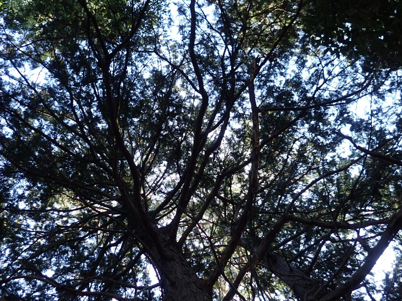 PC310129.JPG