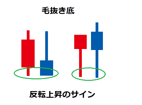 毛抜き底.png