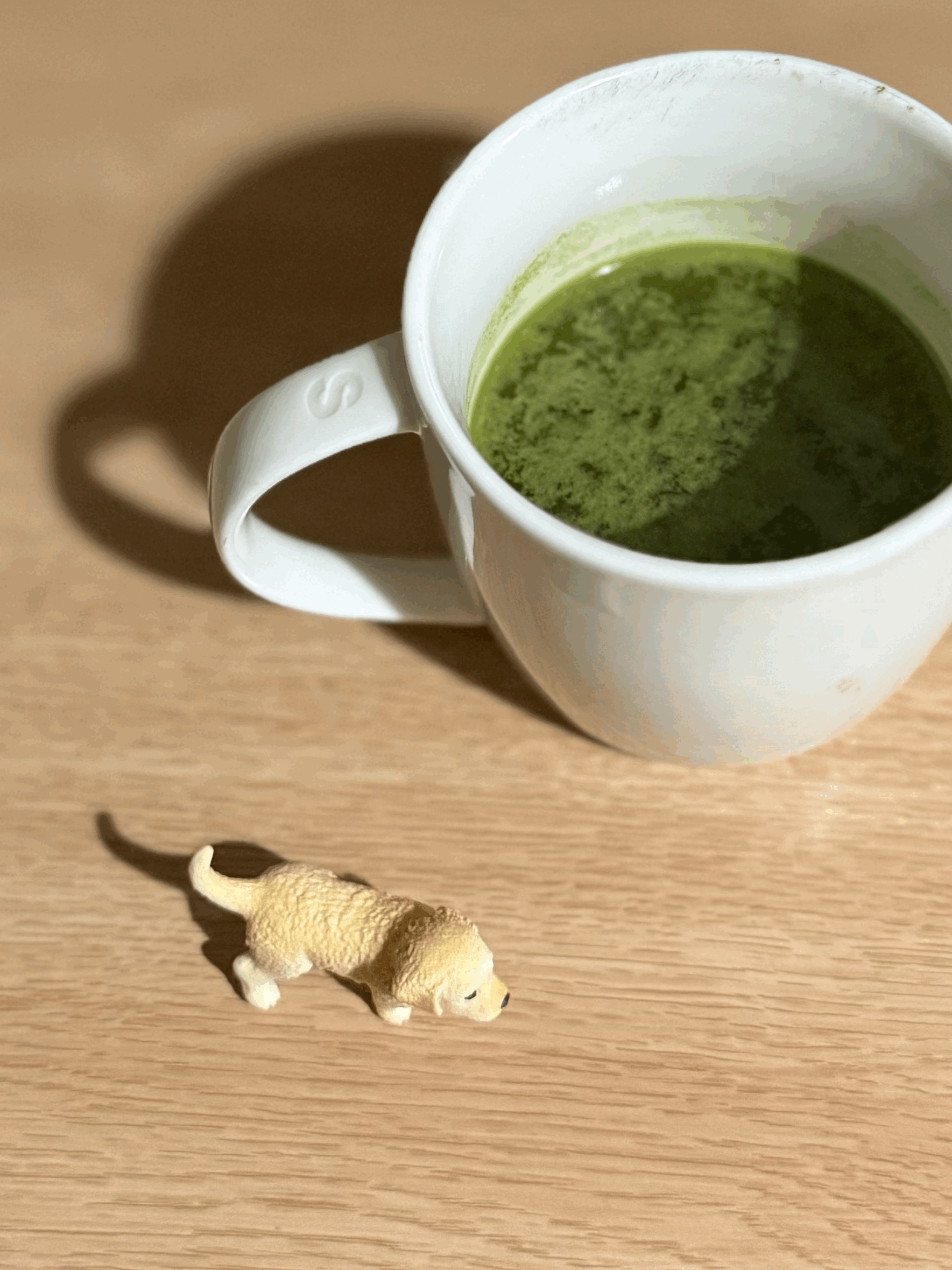 tempImageVvGE5R.gif