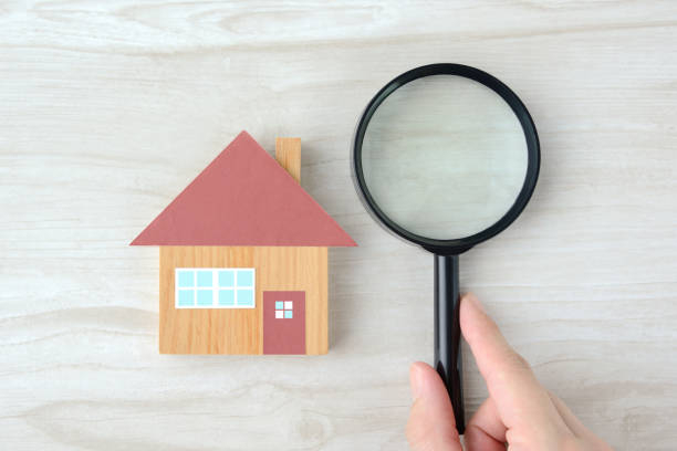 istockphoto-1339997523-612x612.jpg