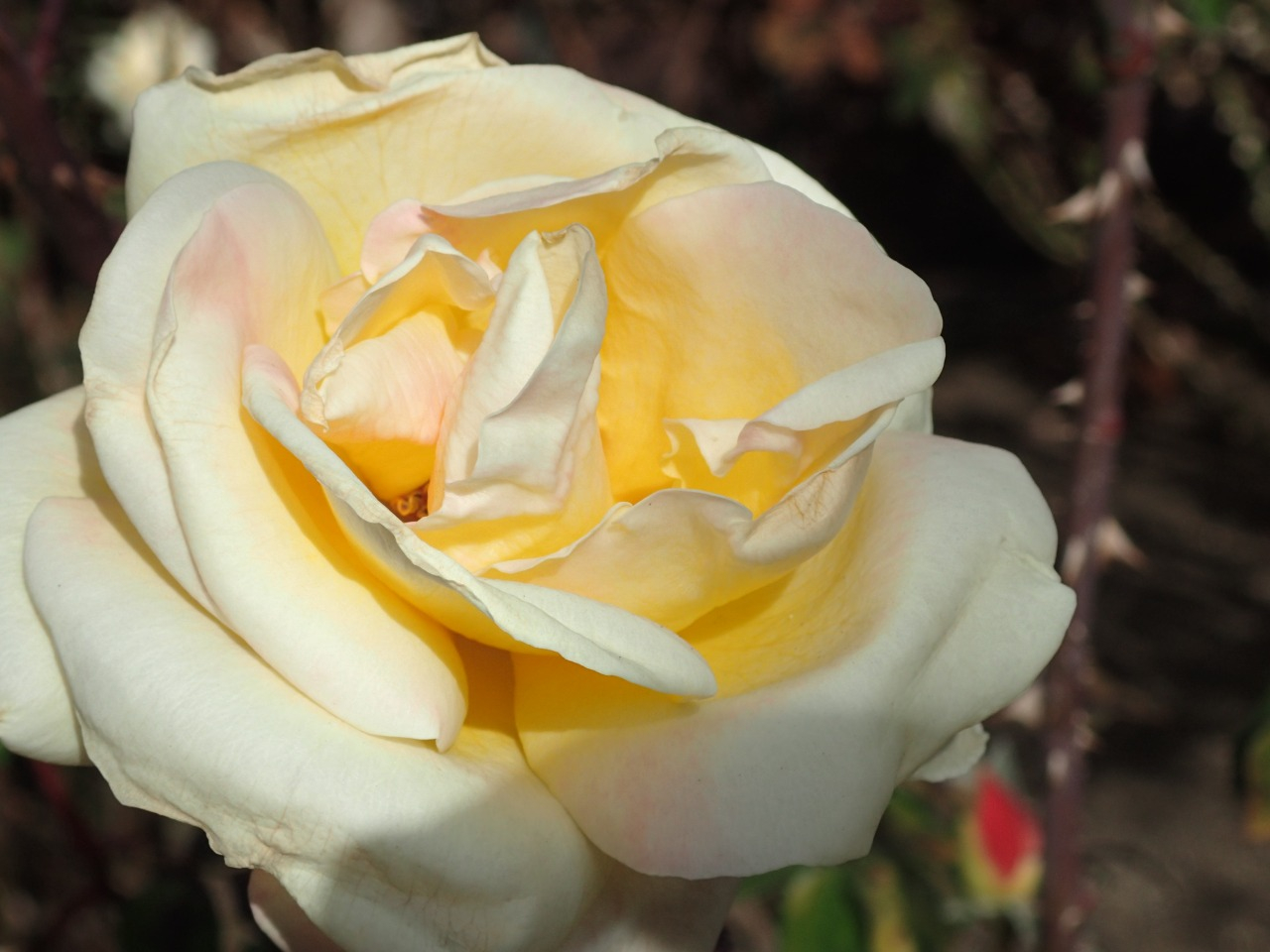 PC220608.JPG
