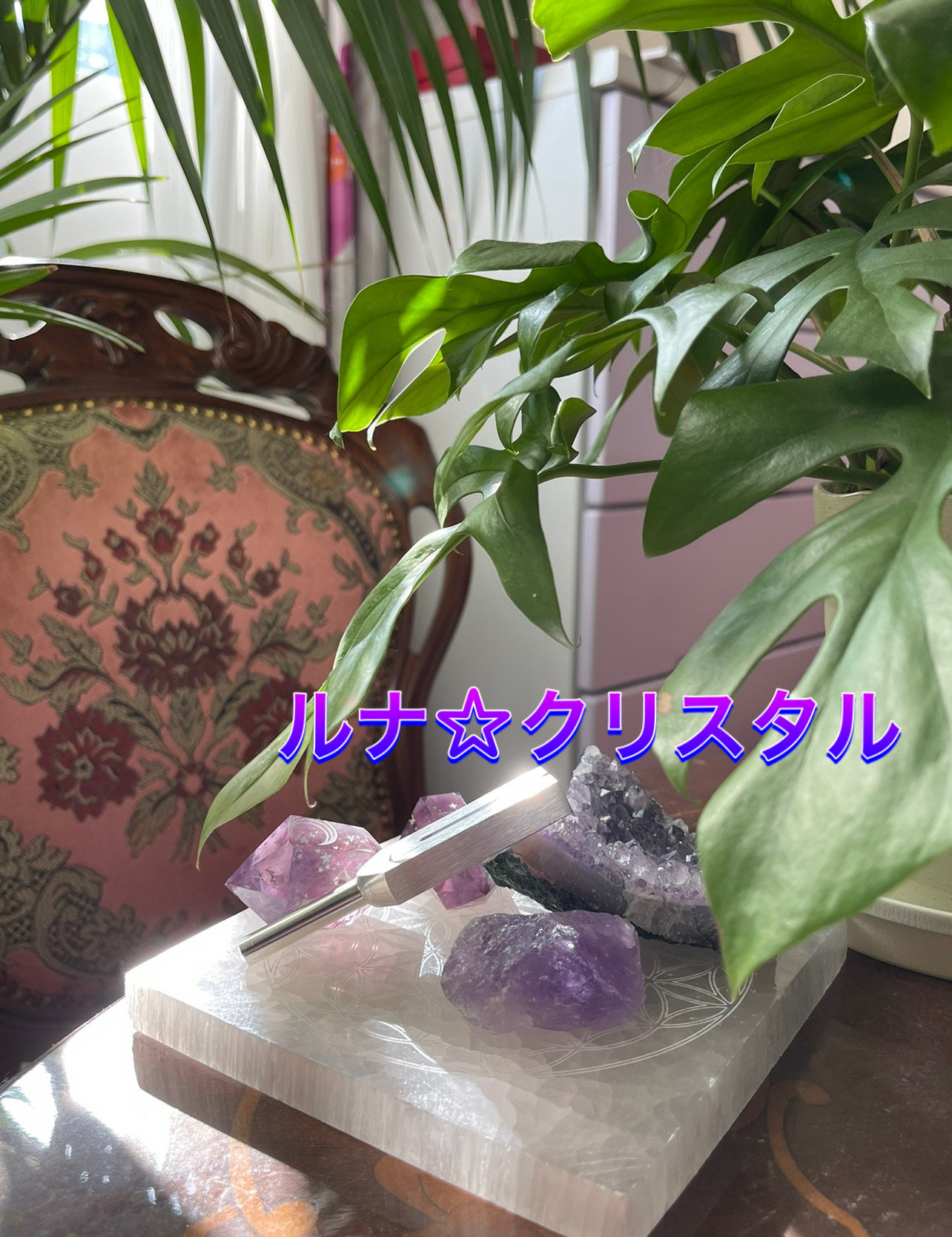 IMG_7108.jpeg