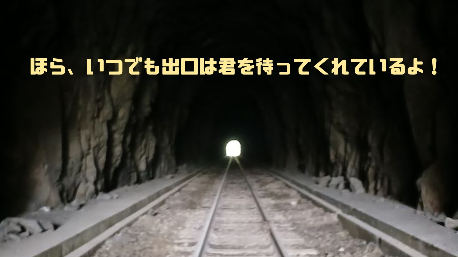 踏まれても踏まれても、咲いた福寿草 ③.jpg