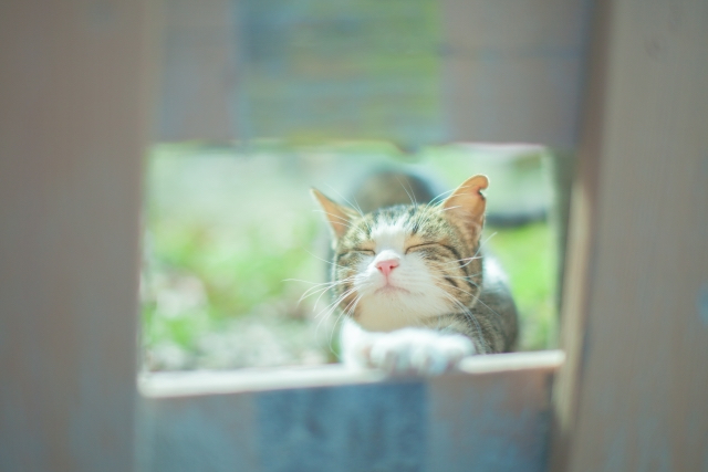 F10192E2-A5CD-4002-862A-D86DC25D1CF3.jpeg