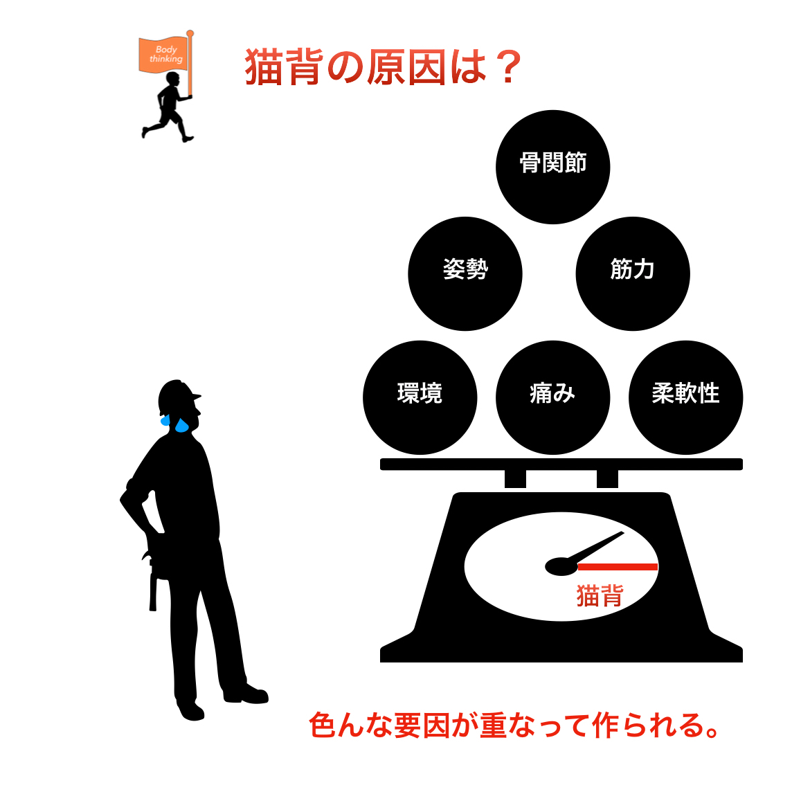 D033F9B7-0575-4C8F-952A-56CC53721CB0.jpeg
