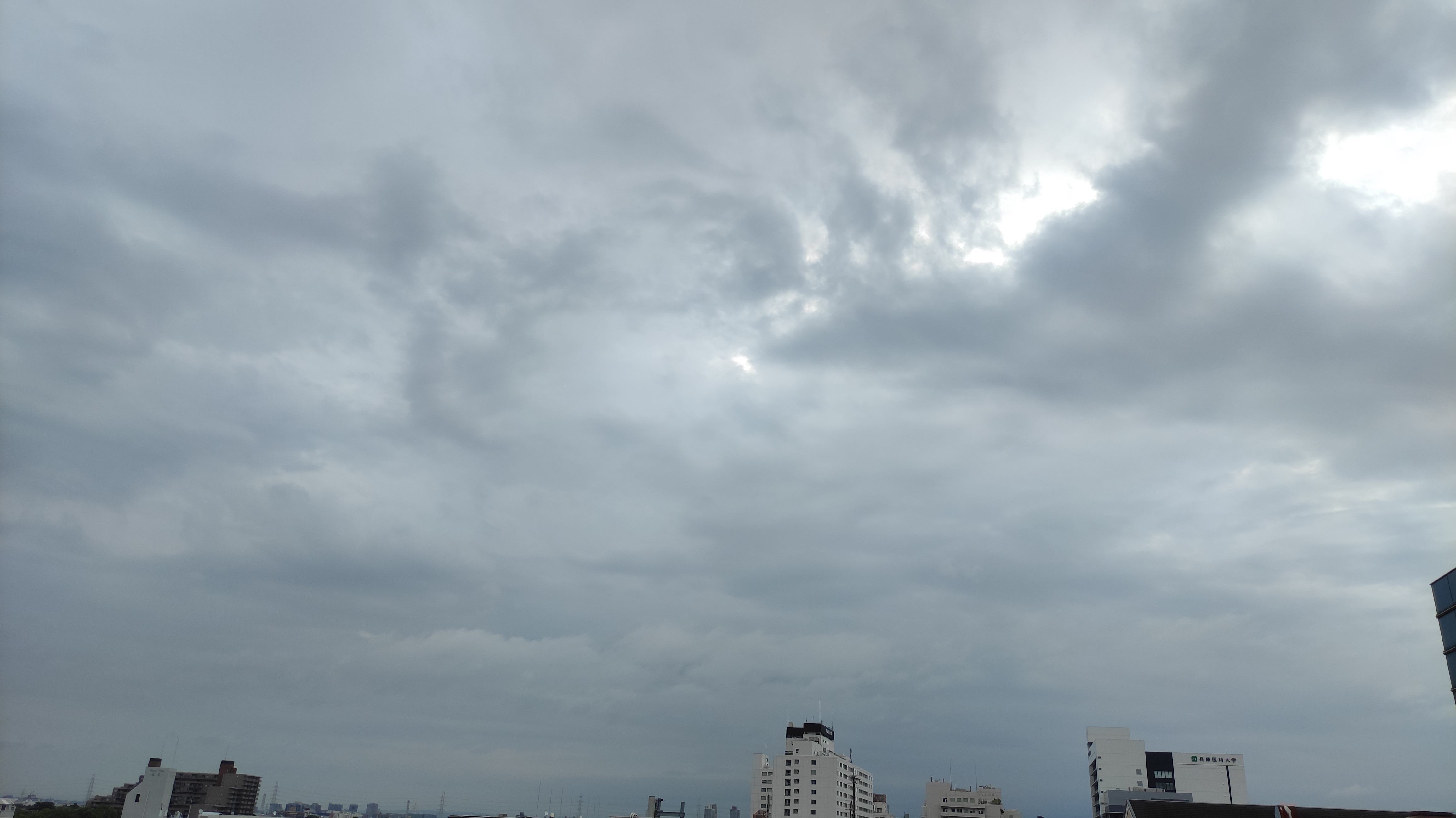 IMG_20230908_073916.jpg