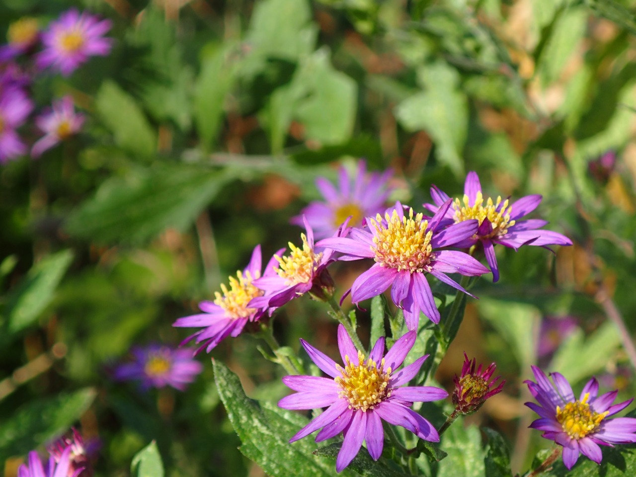 PB160494.JPG
