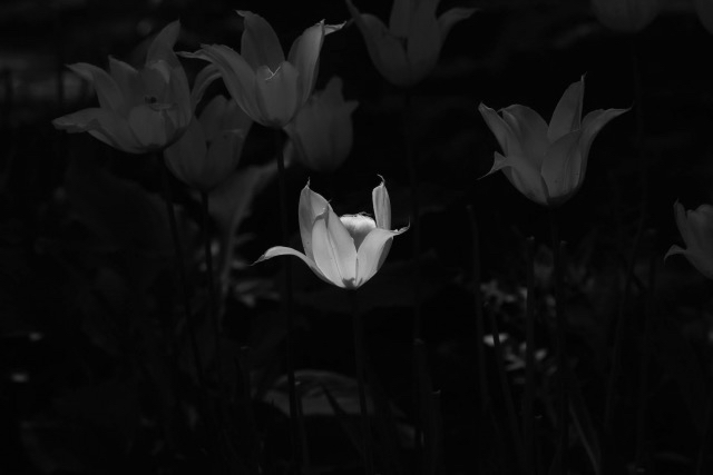 D476894E-9CFF-4B9F-8621-17C1B93B7D5A.jpeg