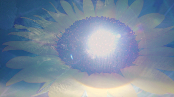 sketch-1663463557041 (2).png