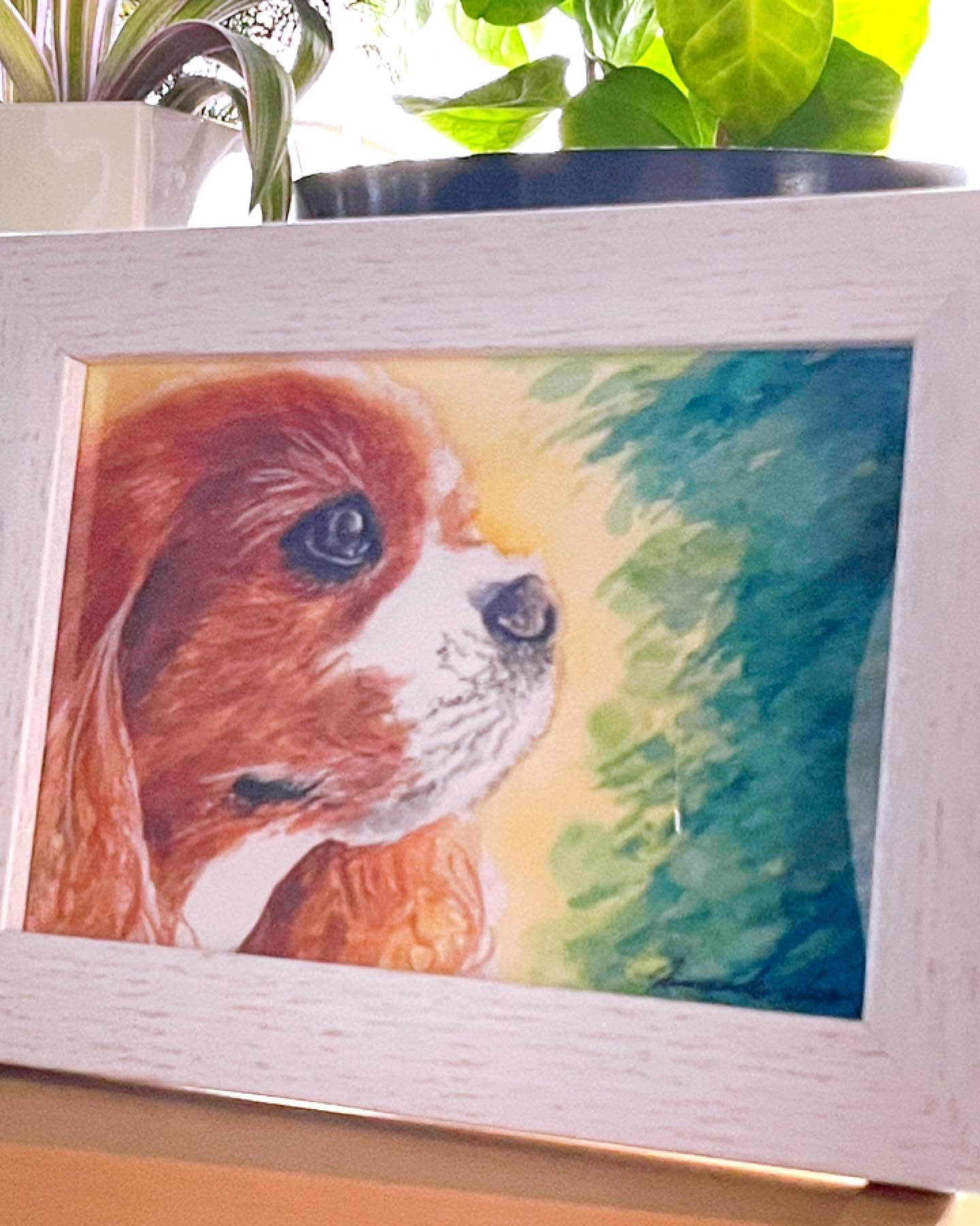 AAD65BDE-C4BF-4DC3-84F4-634283AECF60.JPG