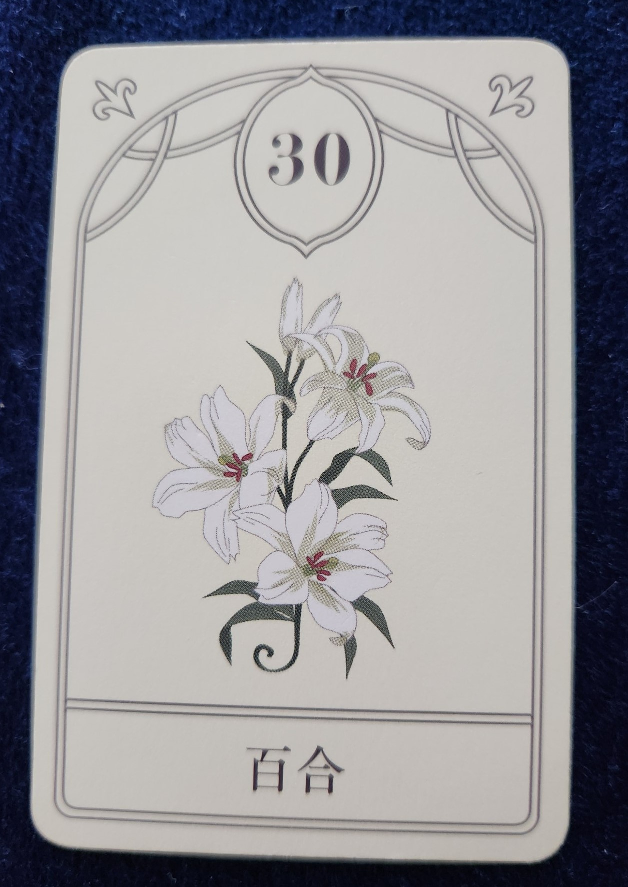 20240412_101614 (002).jpg