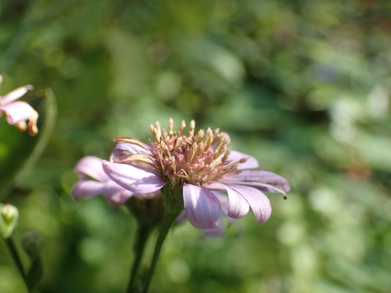 PB160662.JPG